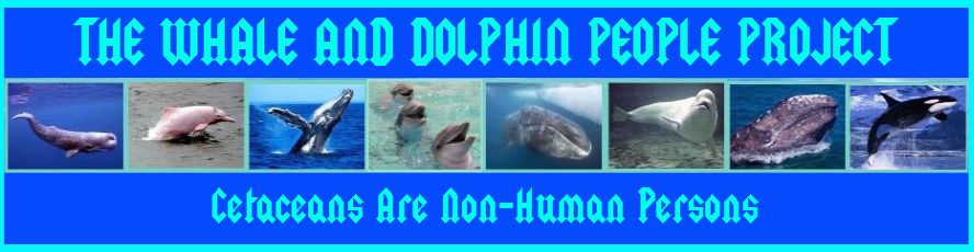 Banners/TWADPP-13.jpg