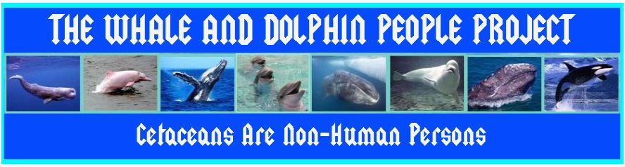 Banners/TWADPP-14.jpg