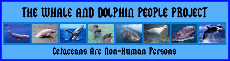 Banners/TWADPP-23-SKYBLUE3_FrameWordsTemplett1ElecBlueRim%20copy.jpg
