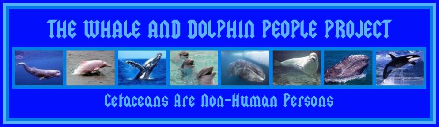 Banners/TWADPP-33-SKYBLUE13_FrameTemplett1ElecBlueBodyLtBlueFont3BlueRims.jpg
