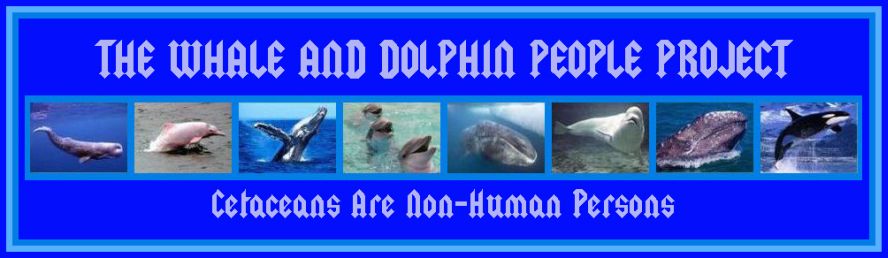 Banners/TWADPP-37-SKYBLUE17_FrameElecBlueBodyPaleBlFont3BlueRims.jpg
